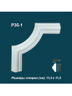 Perfect Plus® P35-1