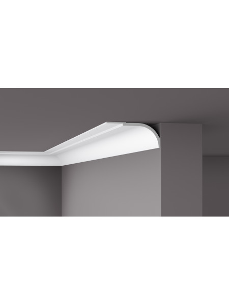 NMC® WT22