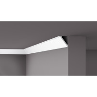 NMC® WT2